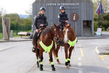 Skupen nadzor konjenikov NRP 01 Foto Ljubo Vukelič